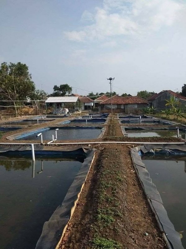 Fish farm overview